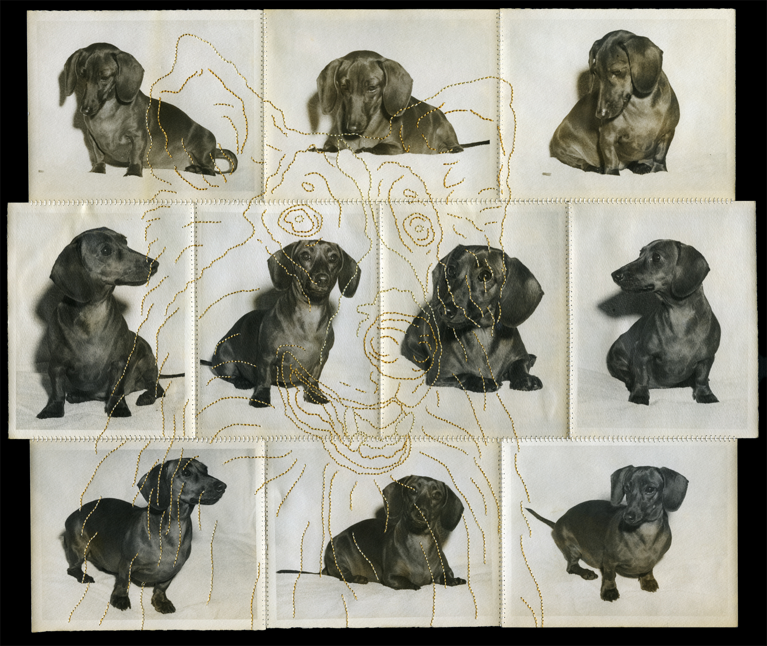 symbol(Lassie.dachshund) by Jane Waggoner Deschner