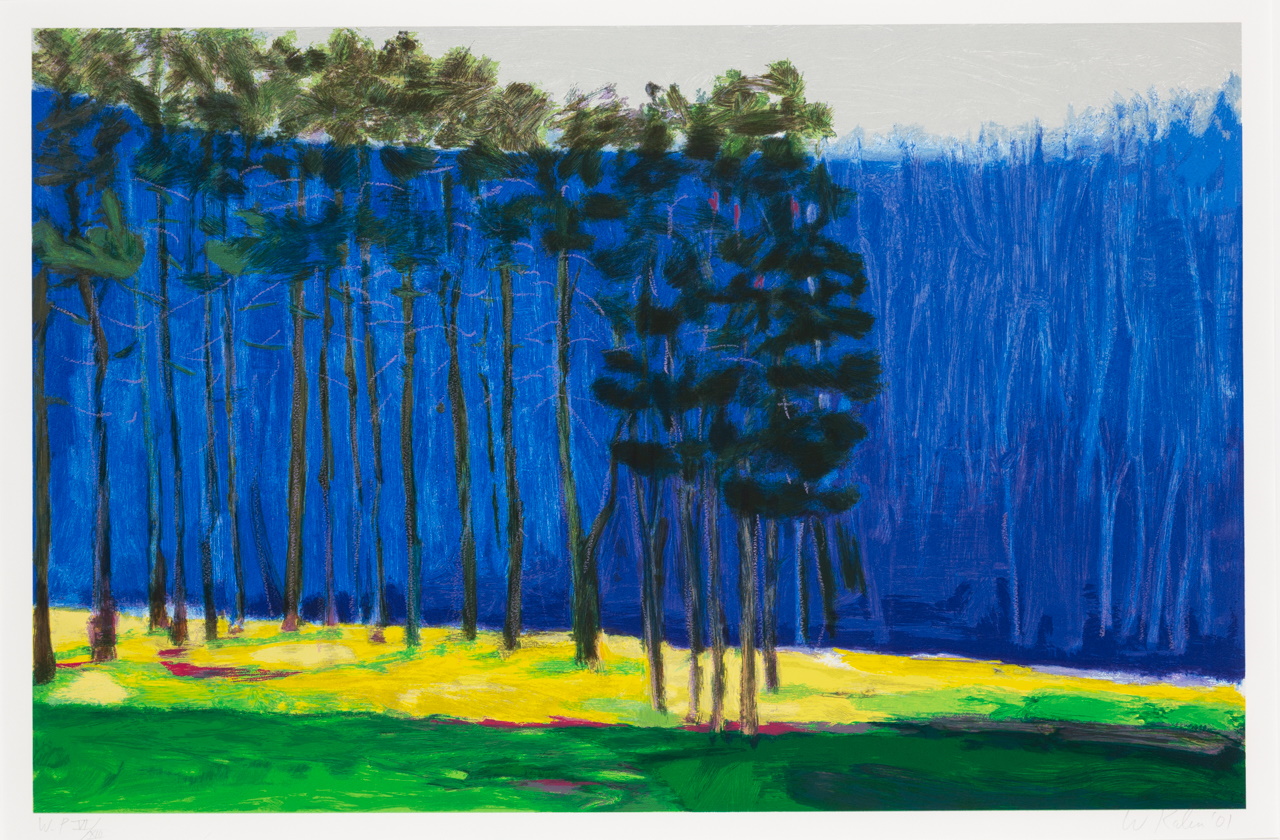 Artwork titled: Dark Pines