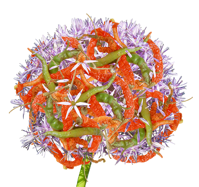 Photo of a spherical floral arrangement combining spiky purple blossoms with intertwined red and green chili peppers.