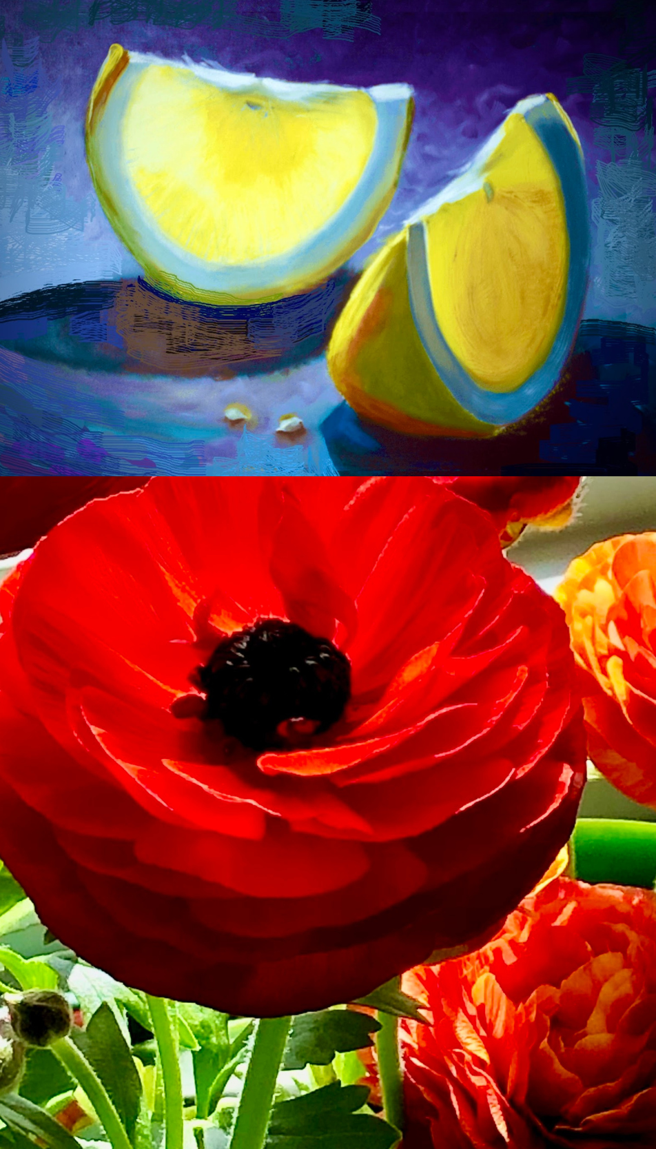 Two Image Options, the one on top is 2 yellow lemon slices in a blue background, the one at bottom is a big red flower in a green background